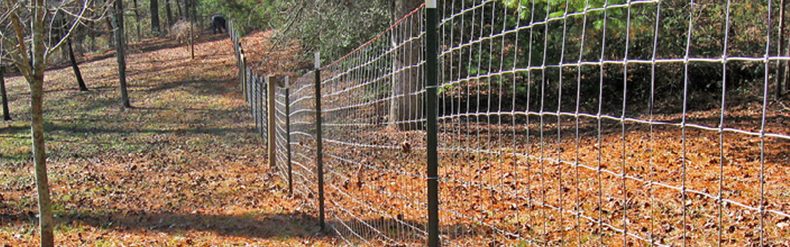 The Grange Standard Fencing