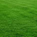 Grange Supply - Lawn & Pasture Care