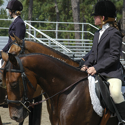 Horse Riding Equipment